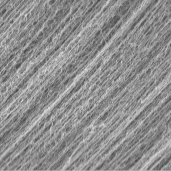 Carbon Nanotube Conductive Pastes