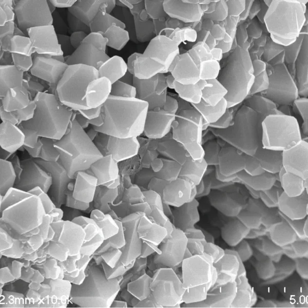 Carbon Nanotube Conductive Pastes